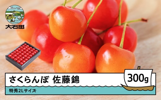 さくらんぼ 佐藤錦 特秀2Lサイズ プレゼント ギフト 化粧箱入 300g 2026年産 令和8年産 山形県産 ふるさと納税 果物 くだもの フルーツ 期間限定 冷蔵配送 先行受付 グルメ 取り寄せ ご当地 特