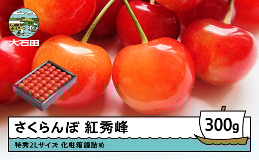 さくらんぼ 紅秀峰 特秀2Lサイズ 300g プレゼント ギフト 化粧箱鏡詰め 2026年産 令和8年産 山形県産 ふるさと納税 果物 くだもの フルーツ 期間限定 冷蔵配送 先行受付 グルメ 取り寄せ ご当地