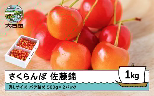 さくらんぼ 佐藤錦 秀Lサイズ バラ詰め 1kg(500g×2パック) 2026年産 令和8年産 山形県産 ふるさと納税 果物 くだもの フルーツ 期間限定 冷蔵配送 先行受付 グルメ 取り寄せ ご当地 特産 産地 直