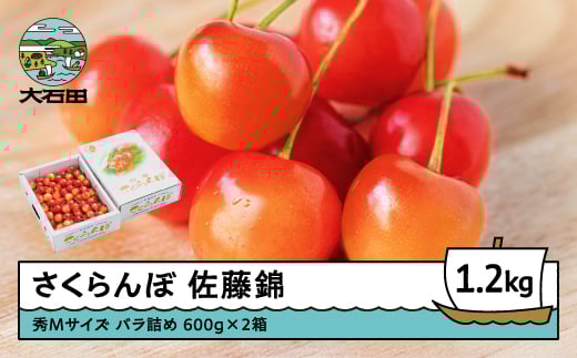 さくらんぼ 佐藤錦 秀Mサイズ バラ詰め 1.2kg(600g×2箱) 2026年産 令和8年産 山形県産 ふるさと納税 果物 くだもの フルーツ 期間限定 冷蔵配送 先行受付 グルメ 取り寄せ ご当地 特産 産地 直送