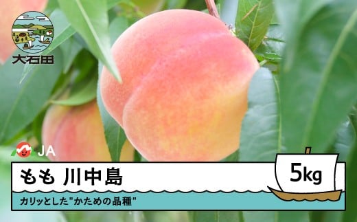【先行予約】もも 桃 川中島 約5kg 2026年産 令和8年産 果物 フルーツ 山形県産 ※沖縄・離島への配送不可 ja-moknx5山形県大石田町19000果物・フルーツもも・すもも