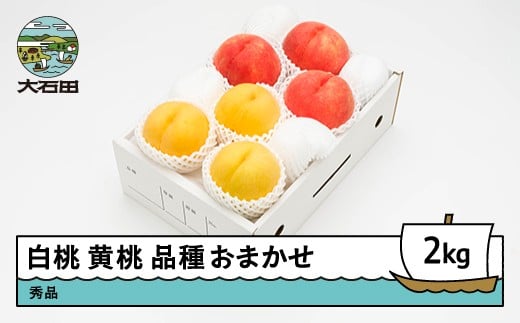 【先行予約】 もも 白桃 有袋黄桃 秀品 詰め合わせ 品種おまかせ 2kg 化粧箱入りフルーツ 果物 アソート 令和8年産 2026年産 山形県産 ns-mohot2山形県大石田町13000果物・フルーツもも・すもも