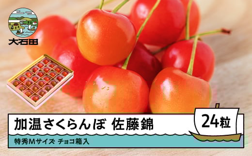 加温 さくらんぼ 佐藤錦 特秀Mサイズ プレゼント ギフト チョコ箱入 24粒 2026年産 令和8年産 山形県産 ふるさと納税 果物 くだもの フルーツ 期間限定 冷蔵配送 先行受付 グルメ 取り寄せ ご