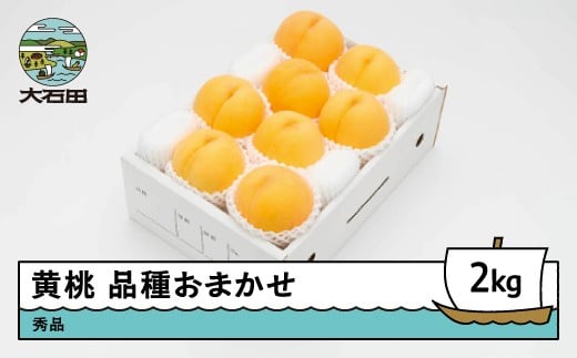 【先行予約】 もも 有袋黄桃 秀品 品種おまかせ 2kg 化粧箱入りフルーツ 果物 令和8年産 2026年産 山形県産 ns-mootx2山形県大石田町12000果物・フルーツもも・すもも