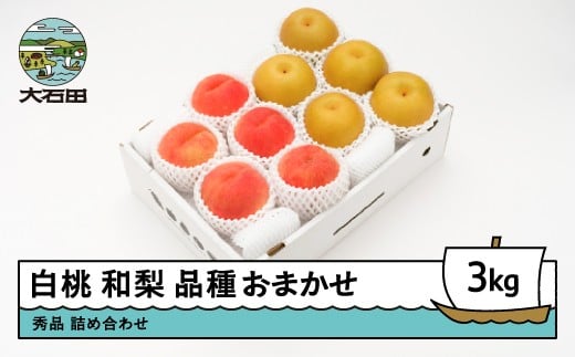 【先行予約】 もも 白桃 秀品 和梨 詰め合わせ 3kg フルーツ 果物 なし 令和8年産 2026年産 山形県産  ns-fshnx3山形県大石田町15000果物・フルーツその他 果物・フルーツ