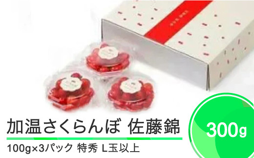 加温 さくらんぼ 佐藤錦 特秀品 L玉 ダイヤパック 100g×3パック 2026年産 令和8年産 ?フルーツ 果物 山形県 ※沖縄・離島への配送不可 ja-snpcx300山形県大石田町15000果物・フルーツさくらんぼ