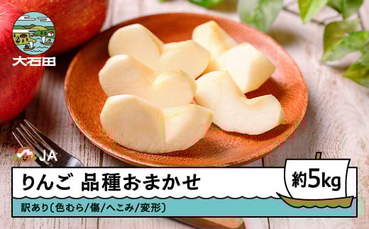 りんご 品種おまかせ 訳あり 無印 約5kg 2025年産 フルーツ 果物 山形県 ※沖縄・離島への配送不可 ja-riwax5山形県大石田町10000果物・フルーツりんご・梨