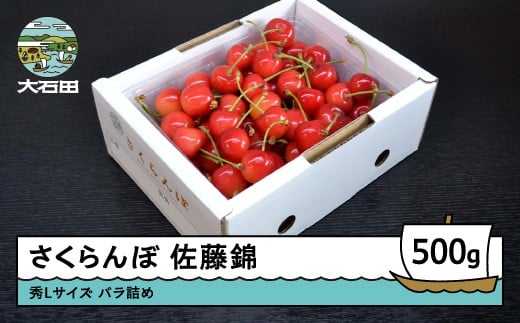 さくらんぼ 佐藤錦 秀L 500g 2026年産 令和8年産 山形県産 ふるさと納税 果物 くだもの フルーツ 期間限定 冷蔵配送 先行受付 グルメ 取り寄せ ご当地 特産 産地 直送  東北 山形県 人気 ry-snslb500