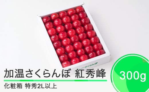 加温 さくらんぼ 紅秀峰 特秀品 2L玉 化粧箱 300g 2026年産 令和8年産 ?フルーツ 果物 山形県 ※沖縄・離島への配送不可 ja-bsk2x300山形県大石田町25000果物・フルーツさくらんぼ
