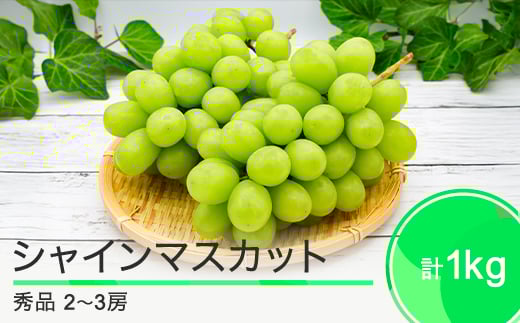 先行予約 シャインマスカット 約1kg 2~3房 山形県産 2025年度産 令和7年産 フルーツ 果実  ry-busmx1000山形県大石田町14000果物・フルーツマスカット・ぶどう