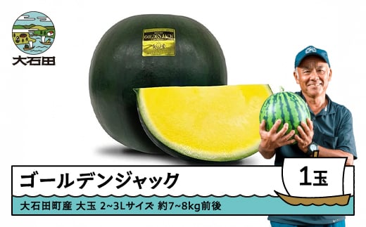 すいか 大玉 ゴールデンジャック 2〜3Lサイズ×1玉 2026年産 令和8年産 山形県産 8月上旬から順次発送 gt-sugjx2山形県大石田町24000果物・フルーツメロン・スイカ