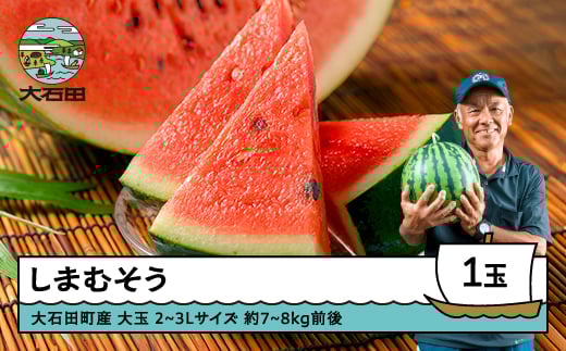 大玉すいか しまむそう 2〜3Lサイズ×1玉 2026年産 令和8年産 山形県産 7月中旬から順次発送 gt-susmx2山形県大石田町14000果物・フルーツメロン・スイカ
