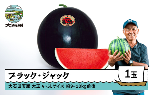 すいか 大玉 ブラックジャック 4〜5Lサイズ×1玉 2026年産 令和8年産 山形県産 大石田町産 8月上旬から順次発送 gt-subjx4山形県大石田町24000果物・フルーツメロン・スイカ