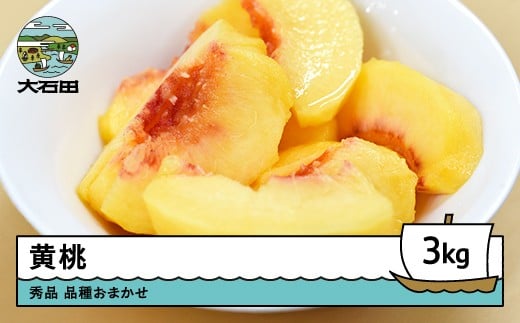 【先行予約】令和8年産 黄桃 品種おまかせ 約3kg 2026年産 果物 ふるさと納税 果物 くだもの フルーツ 期間限定 冷蔵配送 先行受付 グルメ 取り寄せ ご当地 特産 産地 直送  東北 山形県 人気
