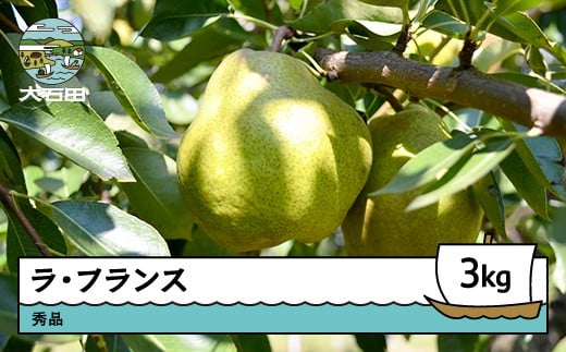 洋梨 ラ・フランス 約3kg 秀品 2025年産 令和7年産 果物 フルーツ 山形県 ry-laxxx3000山形県大石田町12000果物・フルーツりんご・梨