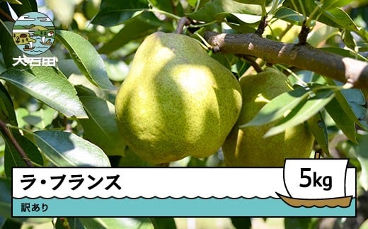 洋梨 ラ・フランス 訳あり 約5kg 2025年産 令和7年産 果物 フルーツ 山形県 ry-lawxx5000山形県大石田町14000果物・フルーツりんご・梨