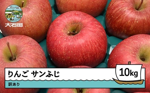 りんご サンふじ 訳あり 約10kg 2025年産 令和7年産 果物 フルーツ 山形県 ry-risfw10000山形県大石田町17000果物・フルーツりんご・梨
