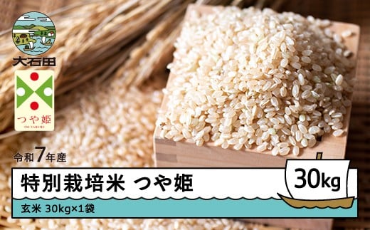 新米 米 令和7年産 米 つや姫 30s 11月下旬発送 大石田町産 特別栽培米 玄米 ks-tsgxa30-11s山形県大石田町68000米・パン白米