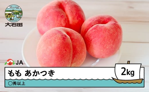【先行予約】 もも 桃 あかつき 約2kg ◯秀以上 2026年産 令和8年産 果物 フルーツ 山形県産 ※沖縄・離島への配送不可 ja-moatx2山形県大石田町11000果物・フルーツもも・すもも