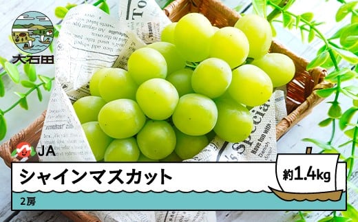 【先行予約】ぶどう シャインマスカット 約1.4kg 2房 2026年産 令和8年産 果物 フルーツ 山形県産 ※沖縄・離島への配送不可 ja-busmx1400山形県大石田町16000果物・フルーツマスカット・ぶどう