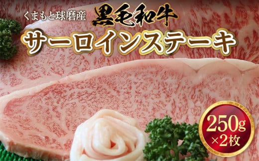 くまもと球磨産 黒毛和牛(サーロインステーキ 250g×2枚)熊本県湯前町24000肉牛肉