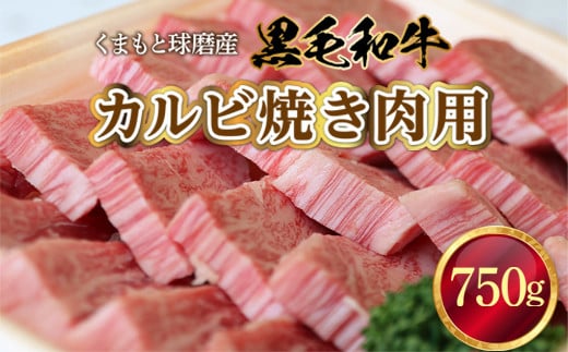 くまもと球磨産 黒毛和牛(カルビ焼き肉用 750g)熊本県湯前町24000肉牛肉
