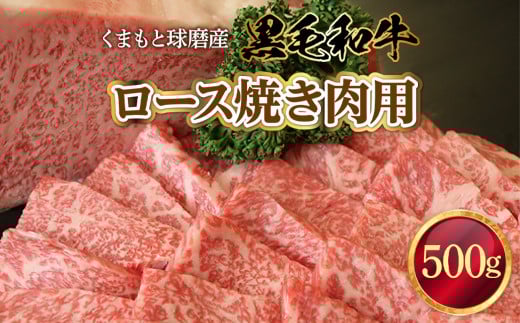 くまもと球磨産 黒毛和牛(ロース焼き肉用 500g)熊本県湯前町24000肉牛肉