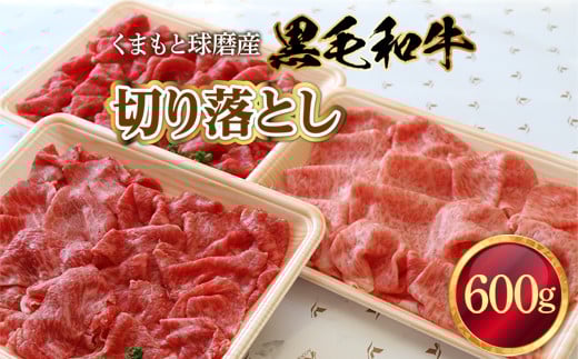 くまもと球磨産 黒毛和牛(切り落とし 600g)熊本県湯前町12000肉牛肉