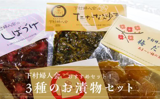 【下村婦人会】3種のお漬物セット熊本県湯前町5000鍋セット・総菜・加工食品漬物・梅干・キムチ