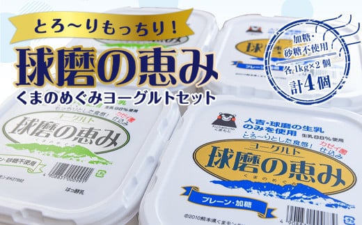 【順次配送】ヨーグル党総選挙 ム党の部 2年連続の第2位受賞!とろ〜りもっちり!球磨の恵みヨーグルトセット(加糖・砂糖不使用各1kgx2個 計4個)熊本県湯前町12000卵・乳製品ヨーグルト