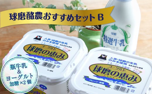 【順次発送】球磨酪農おすすめセットB(瓶牛乳&ヨーグルト加糖×2個)熊本県湯前町9000卵・乳製品ヨーグルト