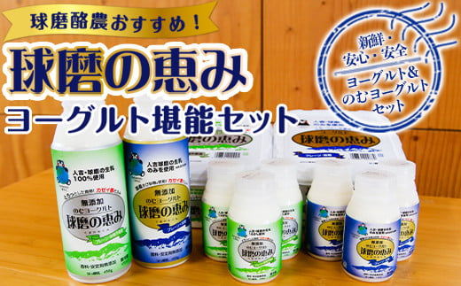 【順次発送】球磨酪農おすすめ!球磨の恵みヨーグルト堪能セット熊本県湯前町12000卵・乳製品ヨーグルト