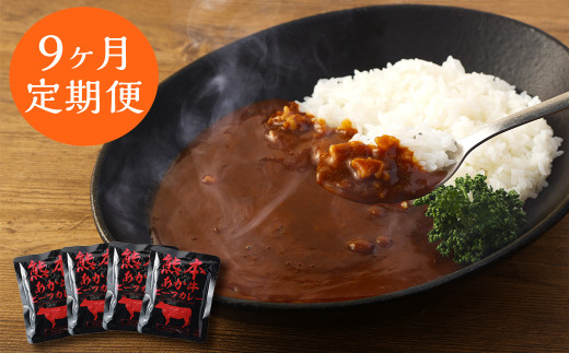【9ヶ月定期便】熊本県産あか牛使用 くまもとあか牛 ビーフカレー 4人前 計640g(160g×4袋)熊本県湯前町36000鍋セット・総菜・加工食品総菜