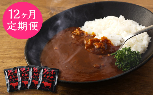 【12ヶ月定期便】熊本県産あか牛使用 くまもとあか牛 ビーフカレー 4人前 計640g(160g×4袋)熊本県湯前町48000鍋セット・総菜・加工食品総菜