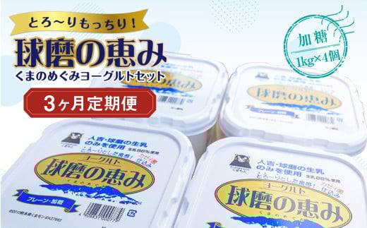 【3ヶ月定期便】球磨の恵みヨーグルトセット(加糖1kg×4個)計12kg熊本県湯前町36000卵・乳製品ヨーグルト