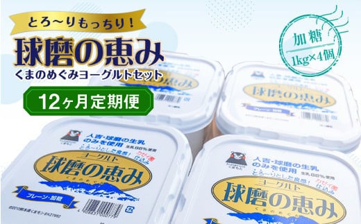 【12ヶ月定期便】球磨の恵みヨーグルトセット(加糖1kg×4個)計48kg熊本県湯前町144000卵・乳製品ヨーグルト