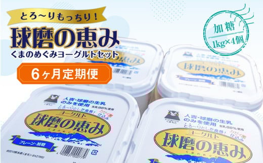 【6ヶ月定期便】球磨の恵みヨーグルトセット(加糖1kg×4個)計24kg熊本県湯前町72000卵・乳製品ヨーグルト