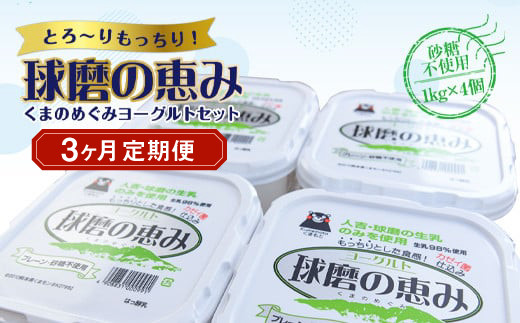 【3ヶ月定期便】球磨の恵みヨーグルトセット(砂糖不使用1kg×4個)計12kg熊本県湯前町36000卵・乳製品ヨーグルト