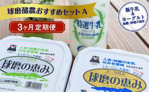 【3ヶ月定期便】球磨酪農おすすめセットA(瓶牛乳&ヨーグルト加糖・砂糖不使用)熊本県湯前町27000卵・乳製品ヨーグルト