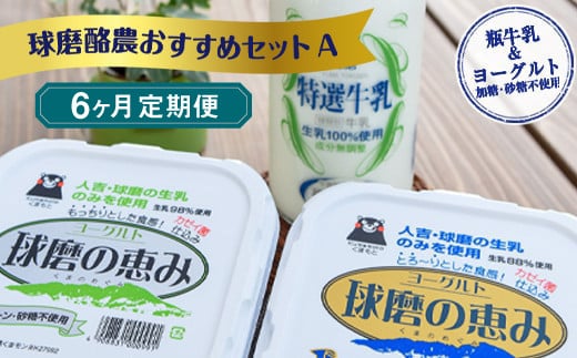 【6ヶ月定期便】球磨酪農おすすめセットA(瓶牛乳&ヨーグルト加糖・砂糖不使用)熊本県湯前町54000卵・乳製品ヨーグルト
