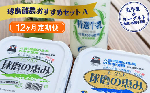 【12ヶ月定期便】球磨酪農おすすめセットA(瓶牛乳&ヨーグルト加糖・砂糖不使用)熊本県湯前町108000卵・乳製品ヨーグルト