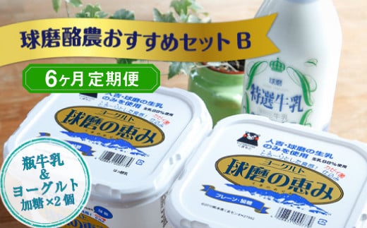 【6ヶ月定期便】球磨酪農おすすめセットB(瓶牛乳&ヨーグルト加糖×2個)熊本県湯前町54000卵・乳製品ヨーグルト