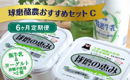 【6ヶ月定期便】球磨酪農おすすめセットC(瓶牛乳&ヨーグルト砂糖不使用×2個)熊本県湯前町54000卵・乳製品ヨーグルト