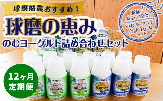 【12ヶ月定期便】のむヨーグルト詰め合わせセット熊本県湯前町144000卵・乳製品牛乳・乳飲料