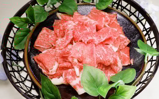 あか牛バラ切り落としセット(あか牛バラスライス500g あか牛のたれ200ml付き)熊本県湯前町15000肉牛肉