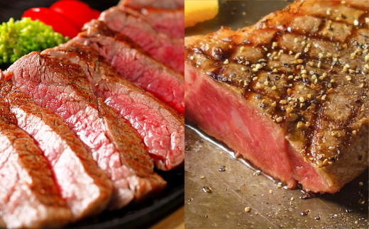 【12ヶ月定期便】あか牛ステーキ12種 極上食べ比べ熊本県湯前町600000肉牛肉
