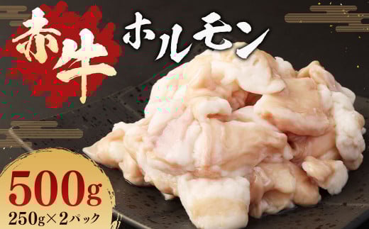 赤牛 ホルモン 500g(250g × 2パック) あか牛 熊本県産 牛肉 牛 牛ホルモン 国産 熊本 肉 もつ モツ もつ鍋 焼き肉 焼肉熊本県湯前町12000肉牛肉