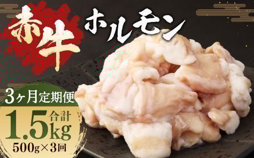 【3ヶ月 定期便】赤牛 ホルモン 500g(250g × 2パック) 合計 1.5kg あか牛 熊本県産 牛肉 牛 牛ホルモン 国産 熊本 肉 もつ モツ もつ鍋 焼き肉 焼肉熊本県湯前町36000肉牛肉