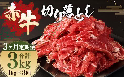 y3 ցzԋ ؂藎Ƃ 1kg i500g × 2pbNj v 3kg  F{Y   Y F{  YF{O60000