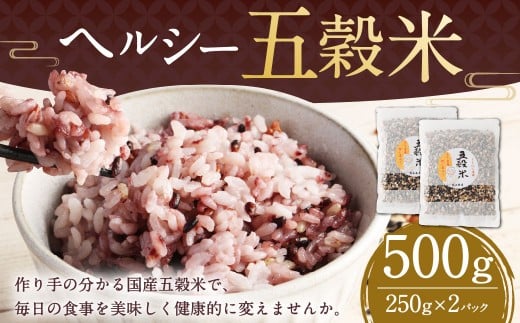 【2025年11月上旬より発送開始】 ヘルシー五穀米 250g×2袋  計500g 五穀米 雑穀米 雑穀 五穀 米 お米 黒米 押し麦 麦 もち麦 玄米 赤米 ブレンド 常温 お取り寄せ 国産 九州産 熊本県 湯前町熊本